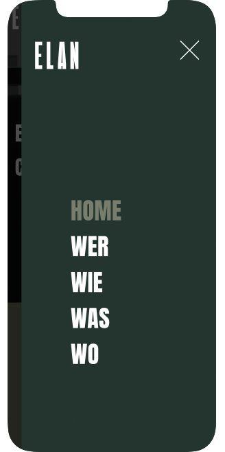 bay-designagentur-elan-website-smart-7